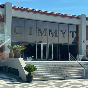 CIMMYT Head Office