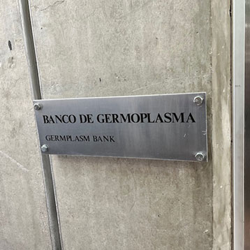 CIMMYT Germplasm Bank