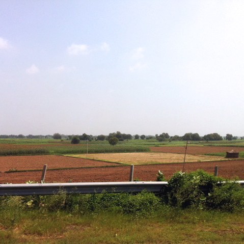 Farming Rajasthan