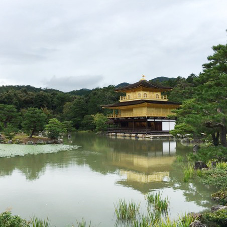 Golden Temple Kyoto