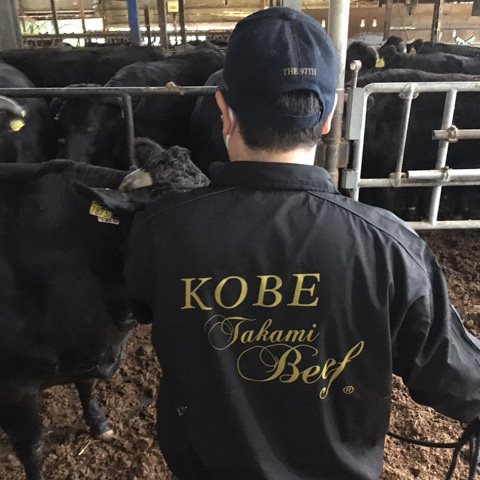 Kobe Beef Farm