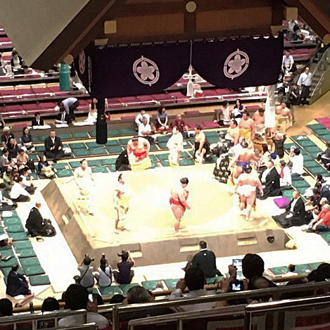 Tokyo Sumo Wrestling